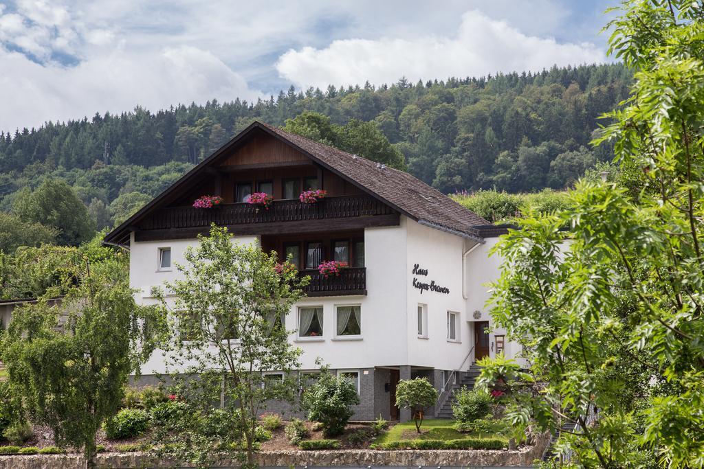 Отель Haus Kesper-Brunen Виллинген Экстерьер фото