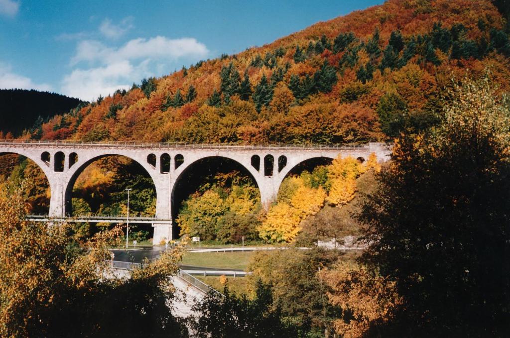 Отель Haus Kesper-Brunen Виллинген Экстерьер фото